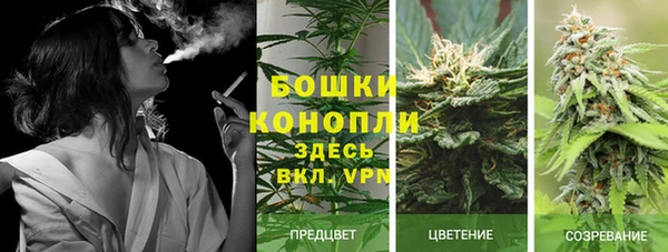 эйфоретик Верхний Тагил