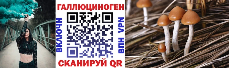 Псилоцибиновые грибы Psilocybe блэк спрут зеркало Южноуральск